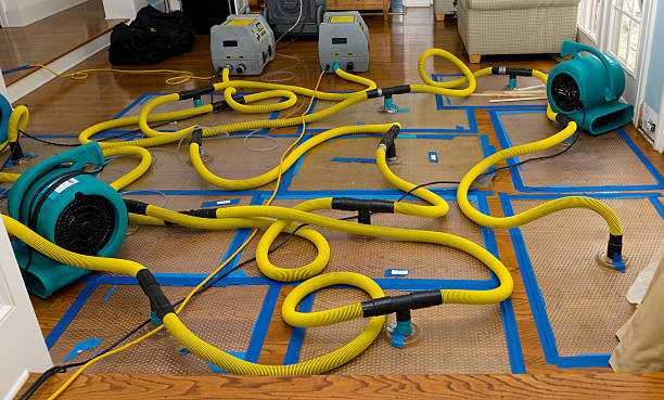 Professional Burst Pipe Water Damage technician working in Palestine, IL